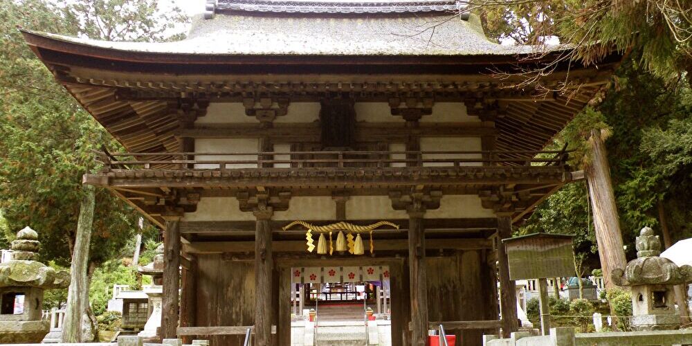 photo1